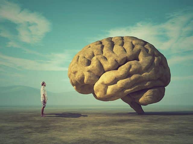 Homme face au cerveau